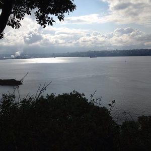 Meet your Posher, Gayle